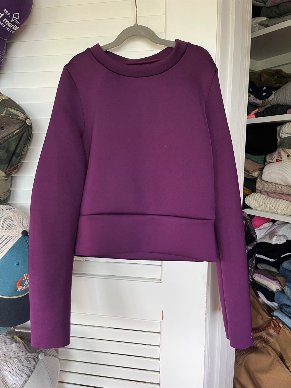 ALO Yoga Scuba Plum Cropped Long-Sleeve Sweatshirt